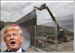 bouw muur