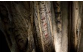 cave markings